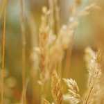 TCW28/EOORO REC Recyklácia T/C 85/ 15 3/ 1 keperová priadza 280 g/m² HV farebne farbená